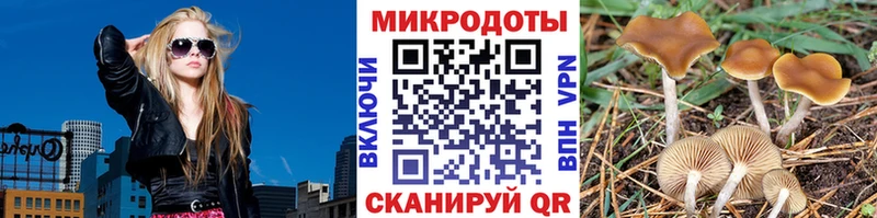 Псилоцибиновые грибы ЛСД  Купить закладки  Нея 